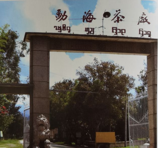 勐海茶厂历史与发展,勐海茶厂历史资料
