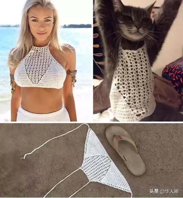 网上买的数码相机被骗了怎么办,网上购买3500元相机被骗怎么办