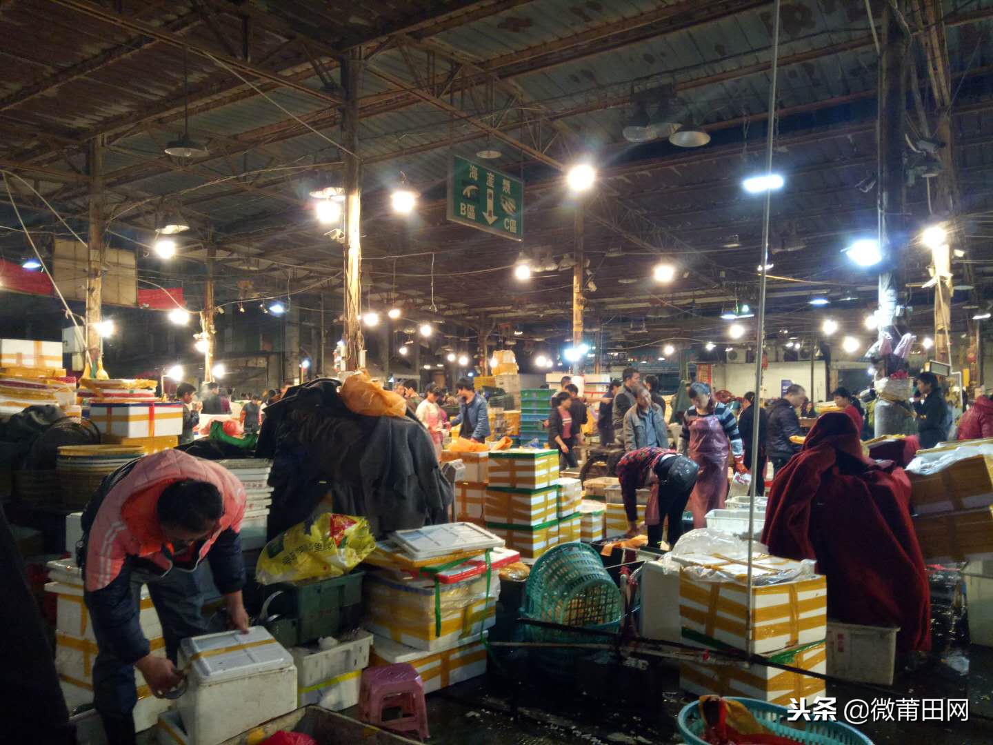 莆田的海鲜批发市场,莆田最大的海产品批发市场在哪里