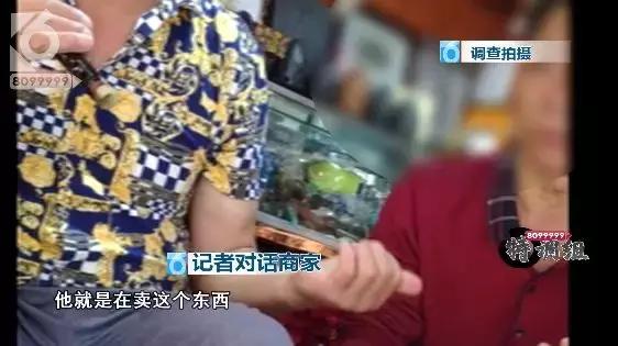 猫咪眼睛被刺了一下,小猫的眼睛被鱼叉刺穿