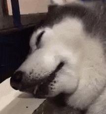 贴三伏贴皮肤被烧伤,有三伏贴灼伤恢复的吗