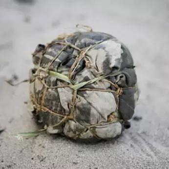 布袋足球,再见了足球图片