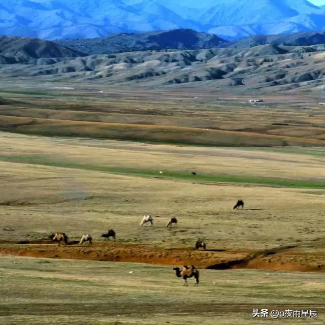 照片去雾变清晰,照片去朦胧感