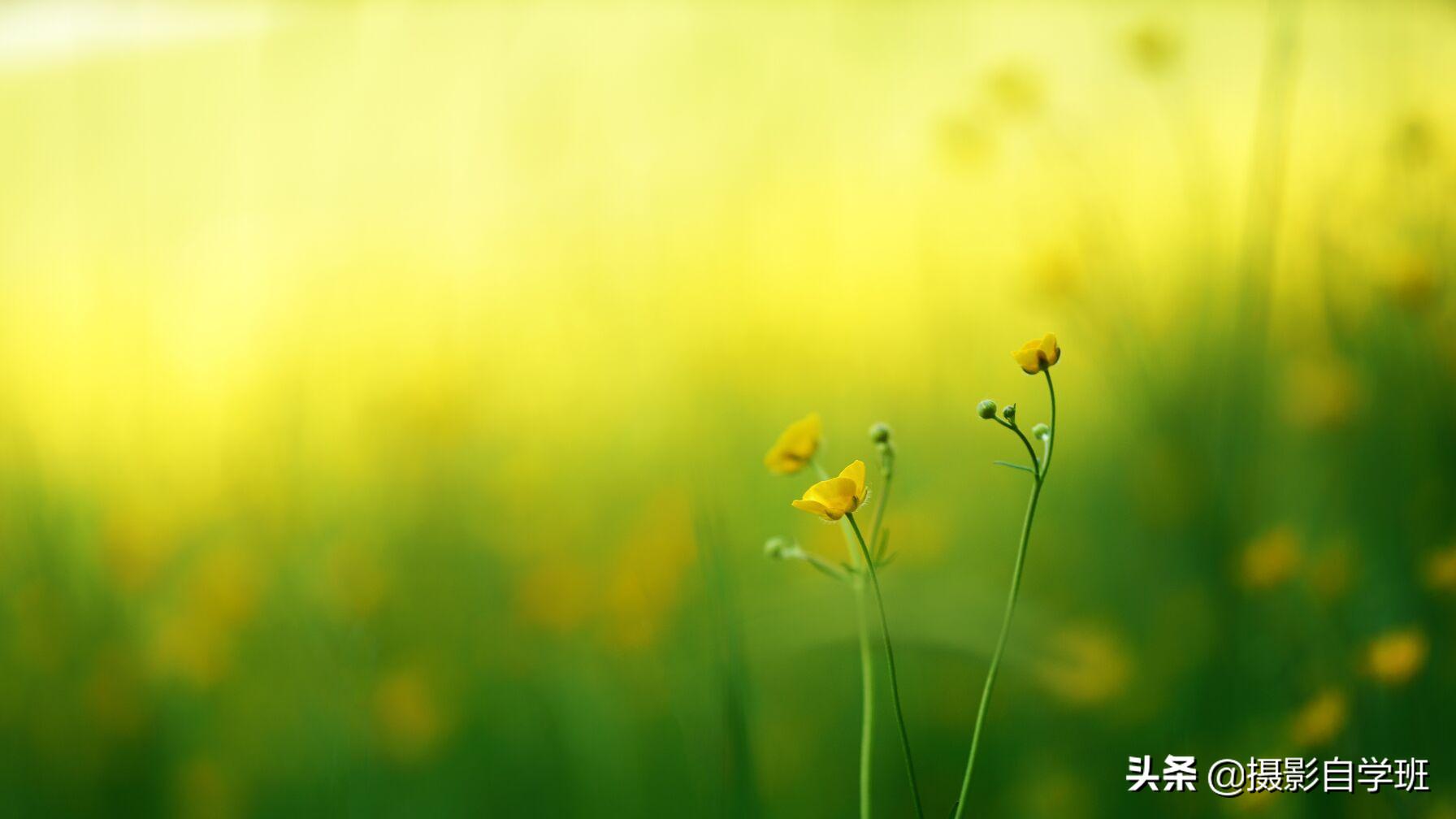 大师级色彩构图摄影,摄影色彩构图实例讲解