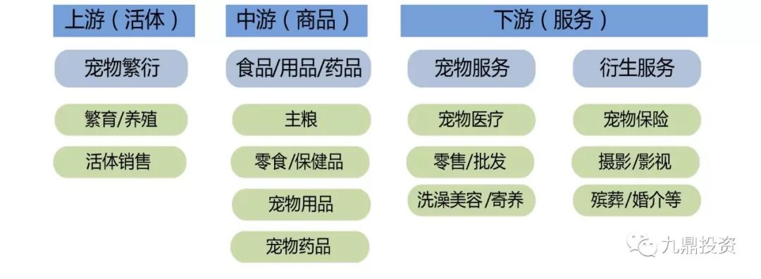 宠物食品2023调研,宠物食品行业的可行性分析