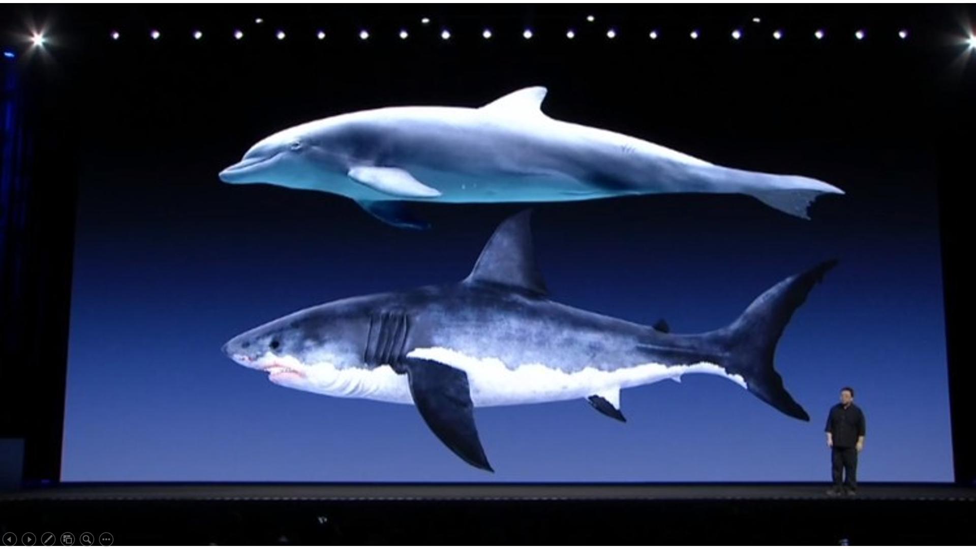 罗永浩谈演讲,罗永浩老人与海演讲