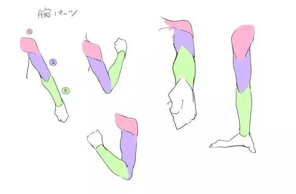 漫画人物的手臂都是怎么画的,漫画人物绘画手臂教程