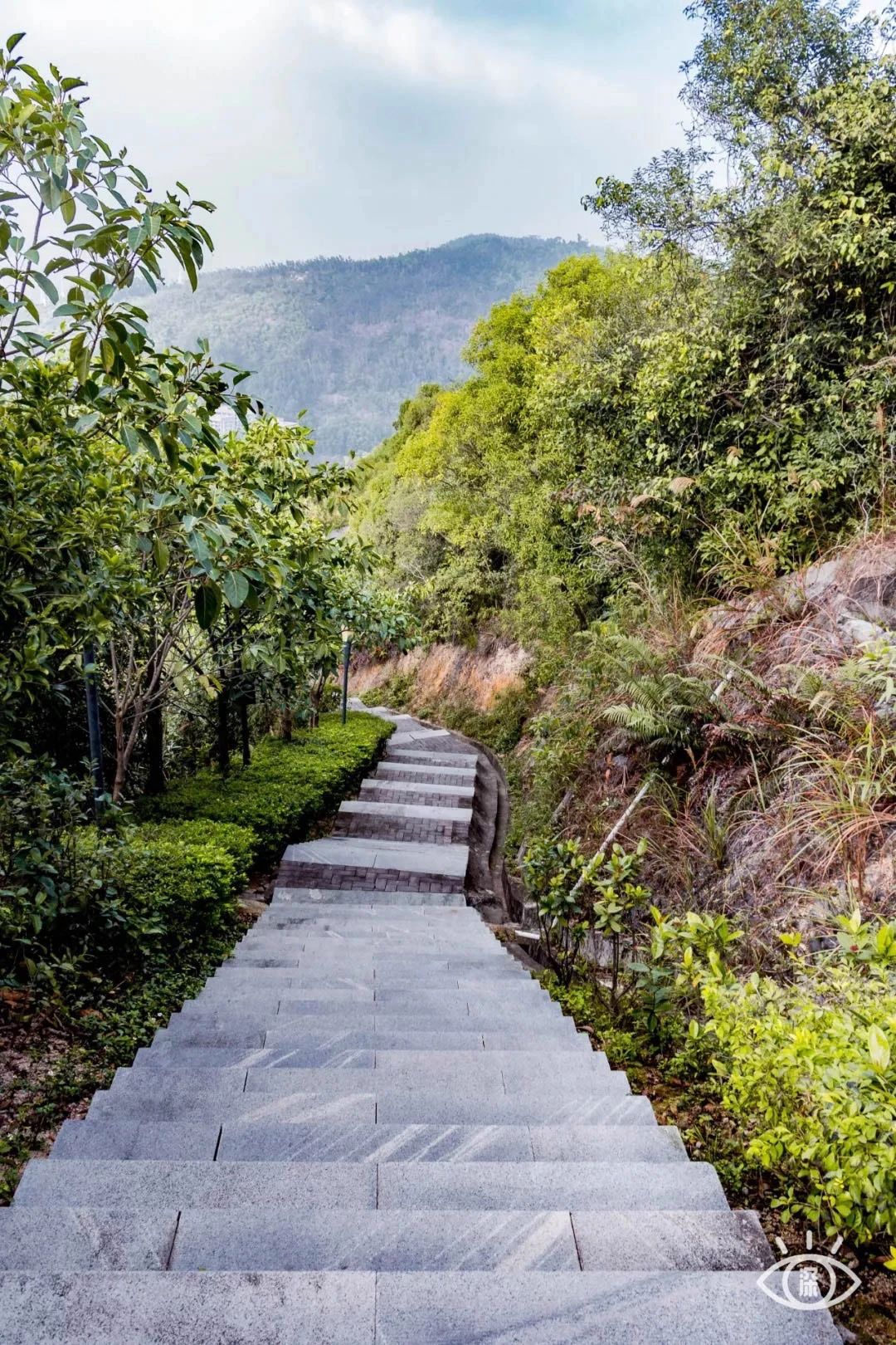 深圳看海去哪里比较好,深圳出地铁就看海的地方是哪里