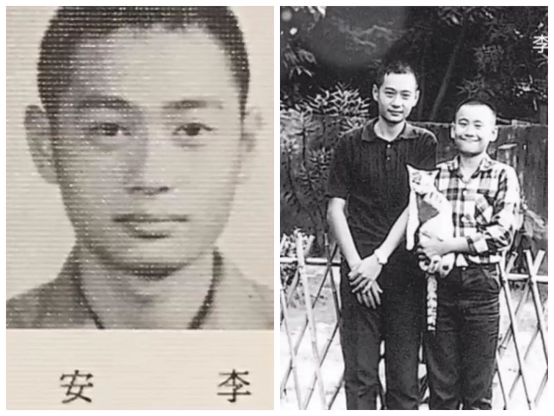 作为“弱者”的李安