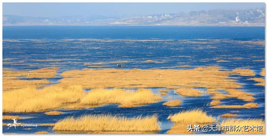 小云带你去旅行丽江详细攻略,8月威宁草海游