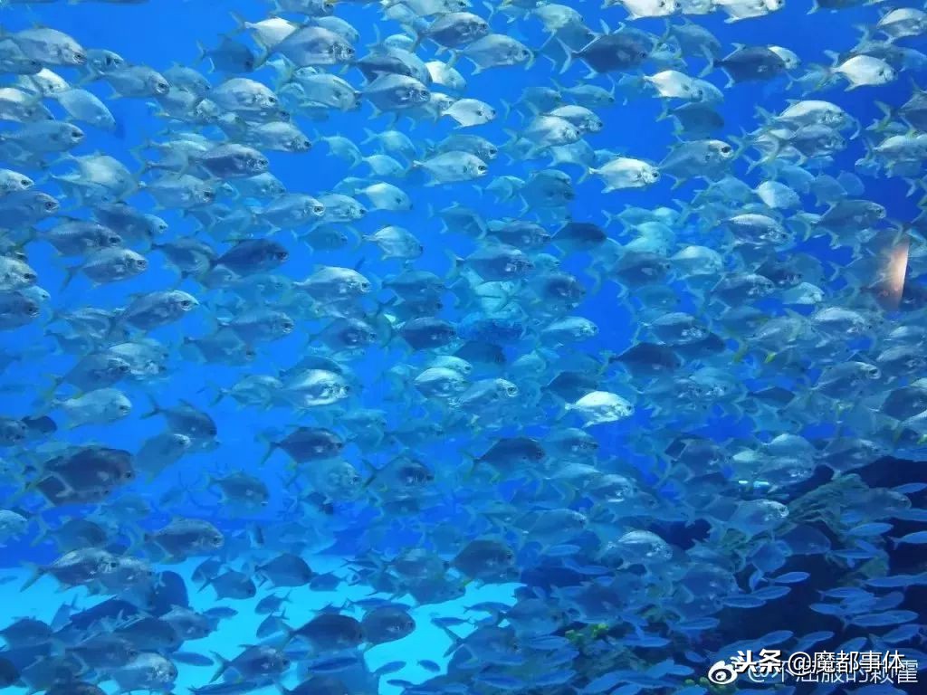 上海天安千树网红打卡点,上海打卡必去的地方排名