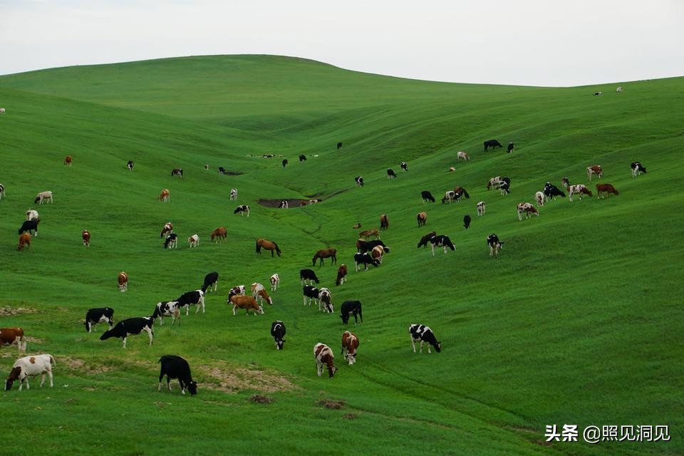 伤寒论郭生白怎么学,梁冬郭生白伤寒论