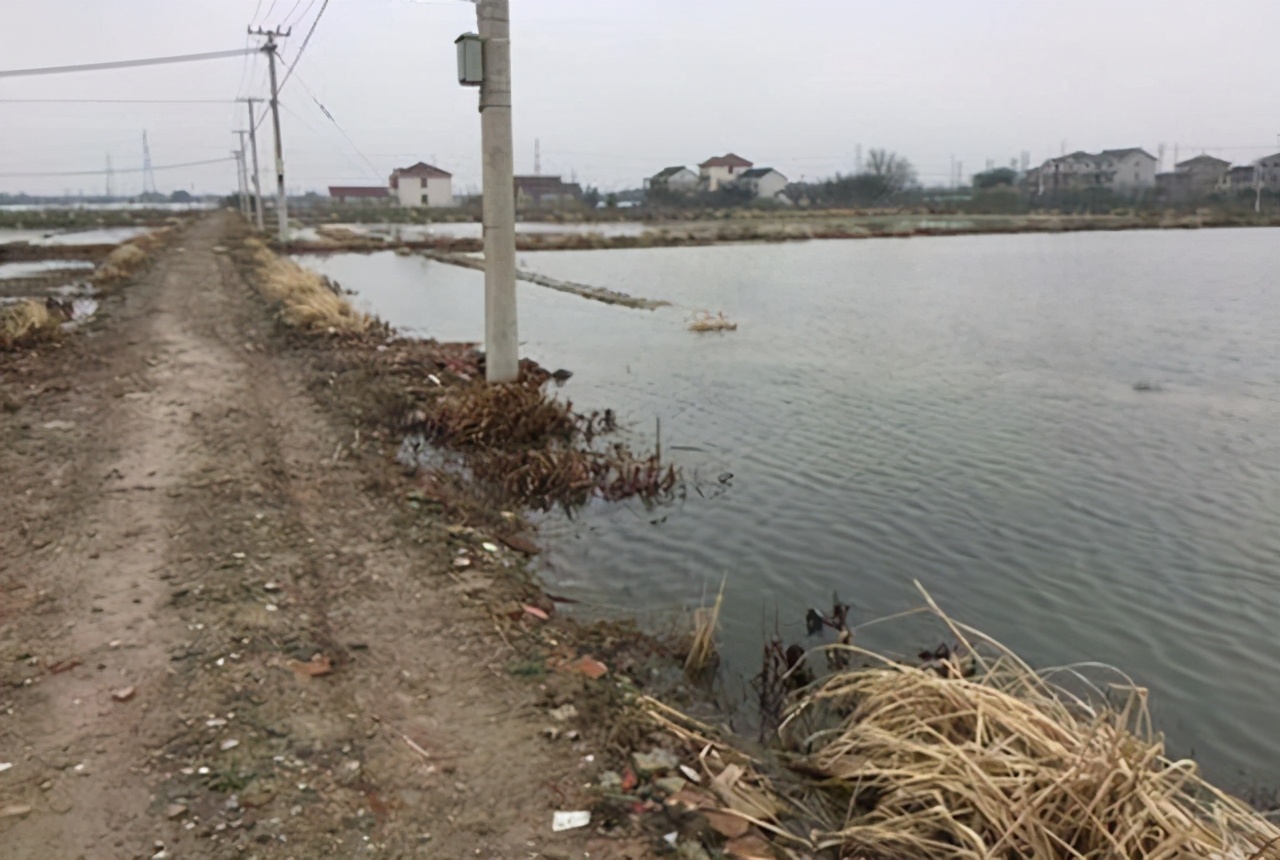 倒春寒螃蟹塘怎么办,低温寒潮鱼塘如何应对