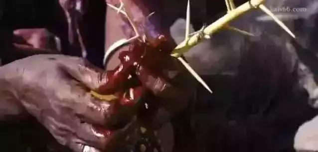 她4岁被*暴强**，5岁被割生殖器，13岁嫁60岁老头，22岁时惊艳世界