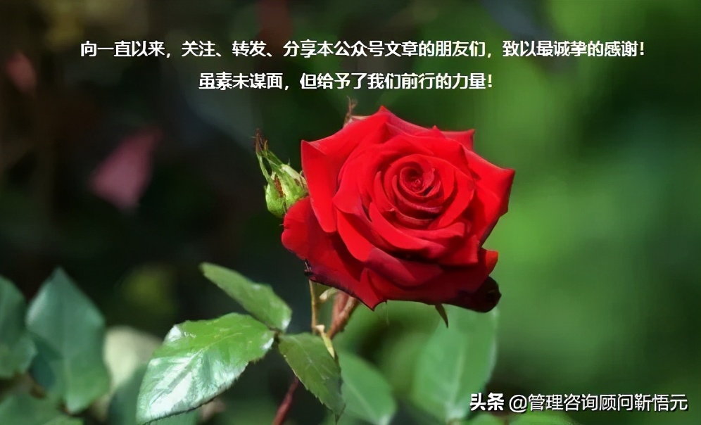 美的集团校园招聘面试流程,美的集团校招流程