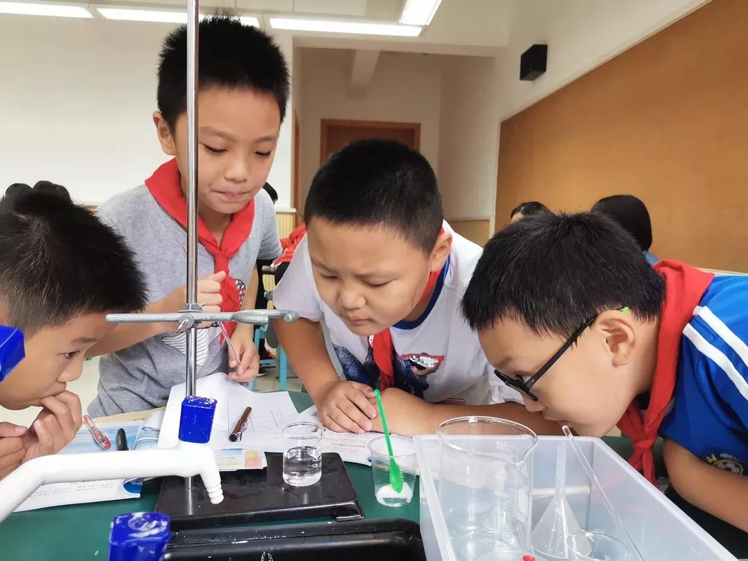 灏忔氮鎺㈡牎鏂板煄鍒嗘牎,灏忔氮鎺㈡牎宸濆ぇ