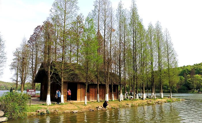 美丽的南湖公园夜景,南湖风景区真的太美了