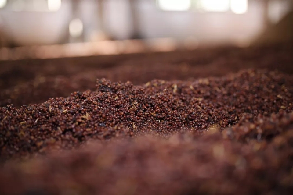 酱香酒有苦味怎么回事,酱香酒有酸臭味