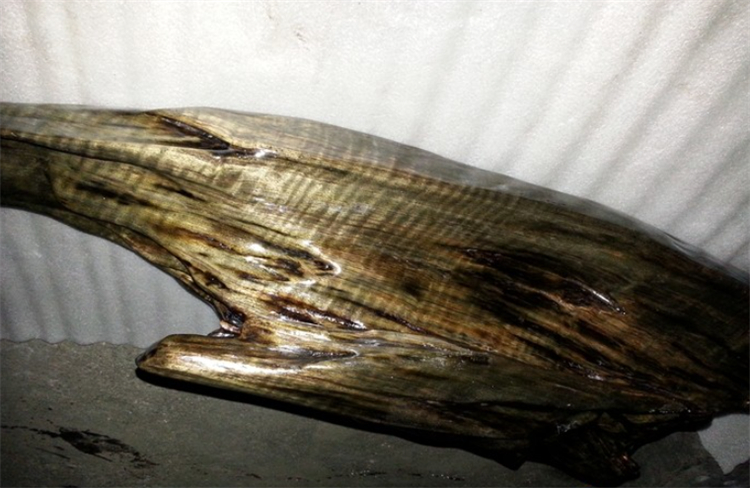 金丝楠和金丝楠阴沉木有什么区别,碳化了的金丝楠木阴沉木鉴定