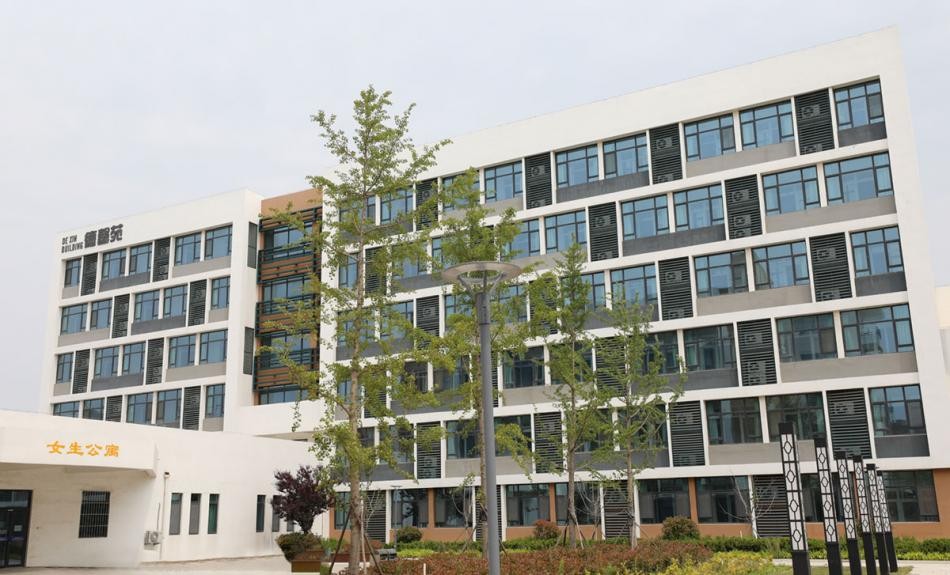 青岛幼儿师范高等专科学校管理,青岛幼儿师范高等专科学校官网