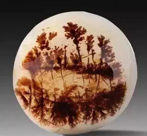 珊瑚玉原石能造假吗,真正的纯天然珊瑚玉图片