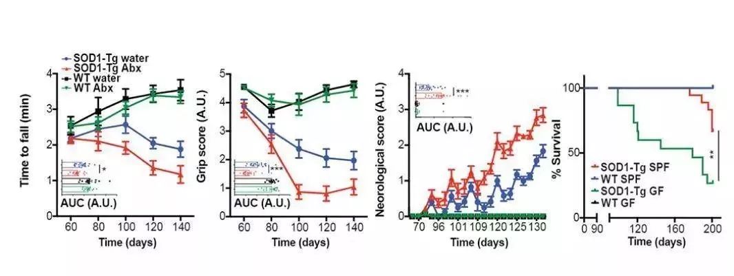 利用宿主分泌的粘蛋白“为食”的Akk菌