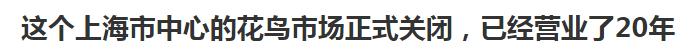 上海的热搜,最近热搜的上海