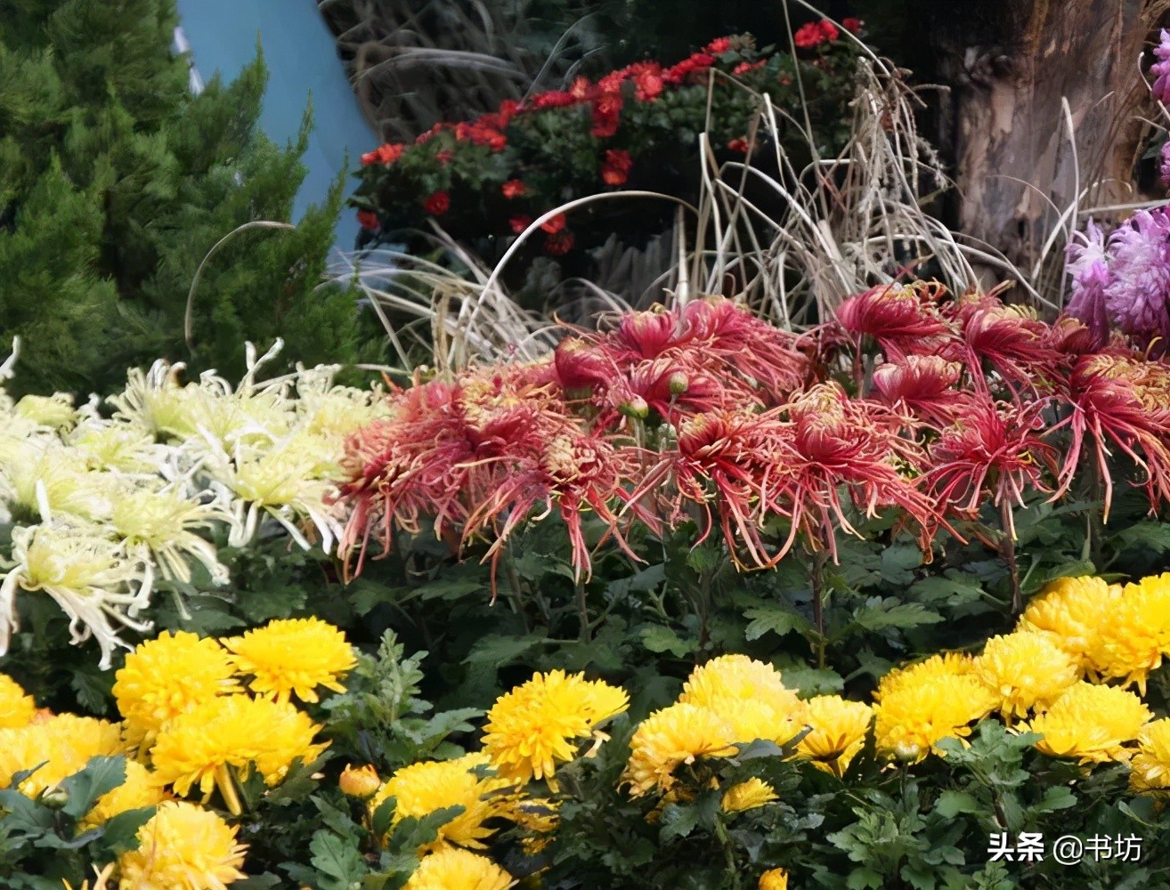 秋天的怀念秋天的味道,秋天的怀念让人心醉