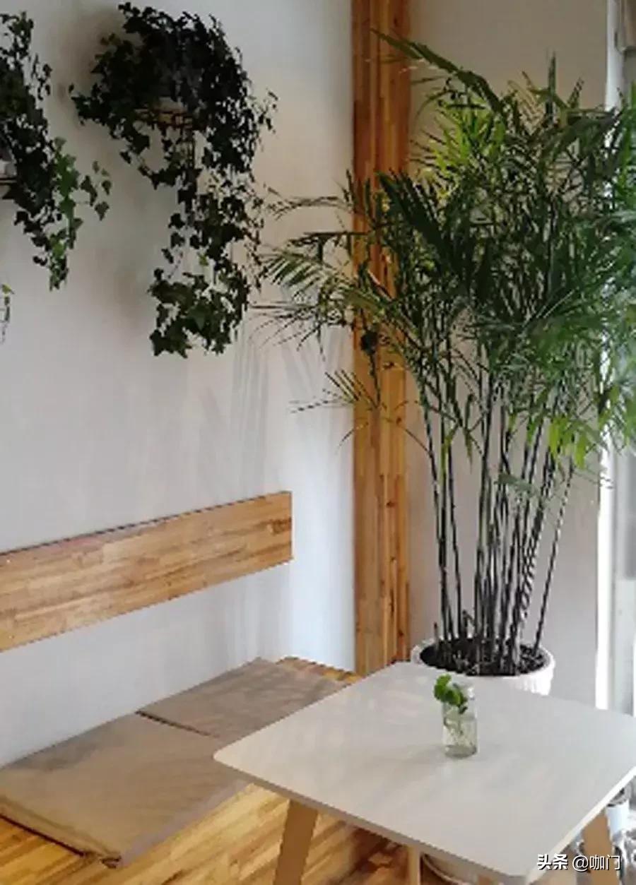 “老板，你家的挂耳咖啡怎么冲不化呢？”|咖啡馆段子最新特辑