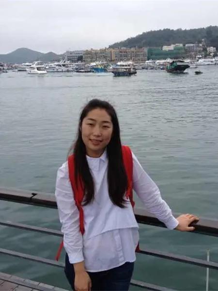 美丽迎春花开了,迎春花盛开的绝美春日盛景