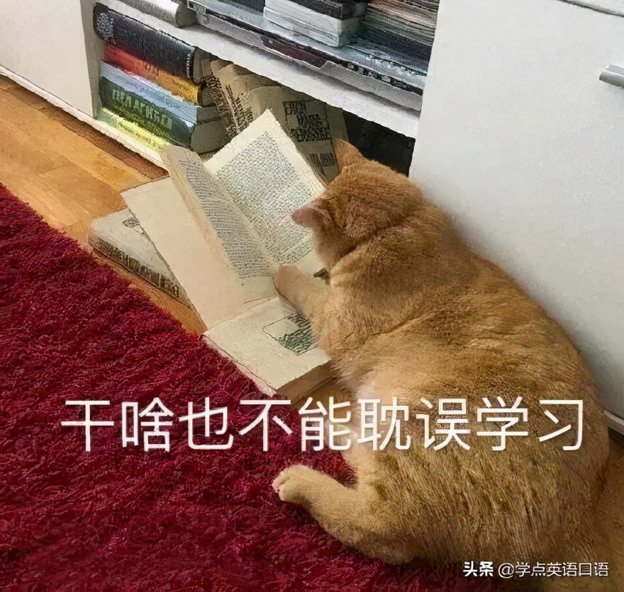 大片bigshot,大片是什么