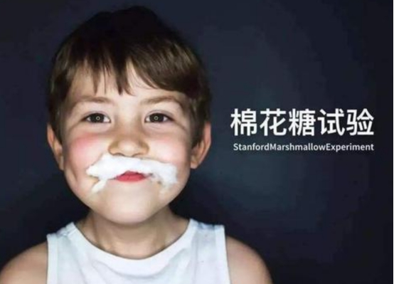 章鱼真的是外星来客吗,章鱼是不是外星生物