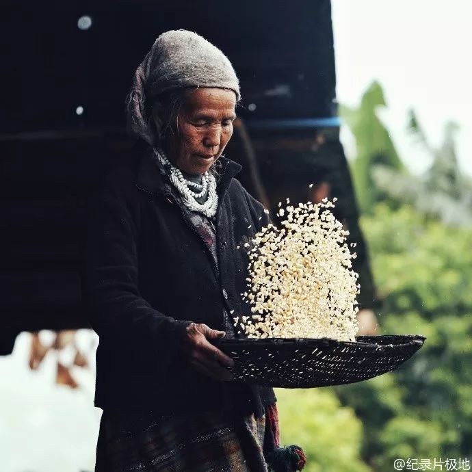 极地大型纪录片,纪录片极地生灵