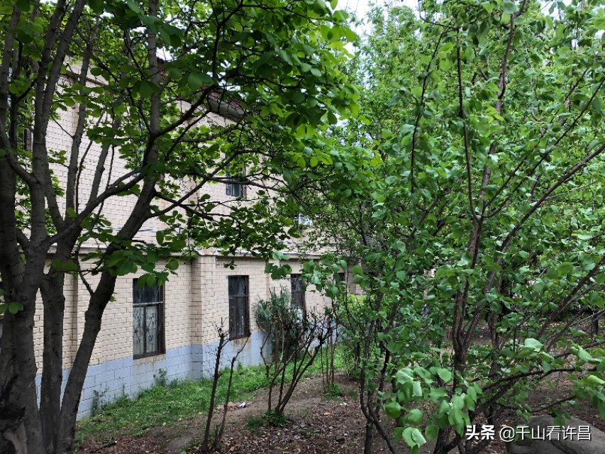 许昌市第一中学平面图,河南省许昌市襄城一中