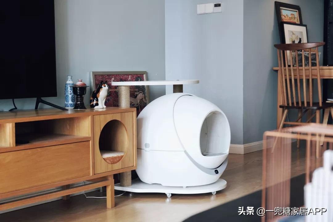 绉嶈崏鐢熸椿鏂瑰紡,绉嶈崏缁囧竷