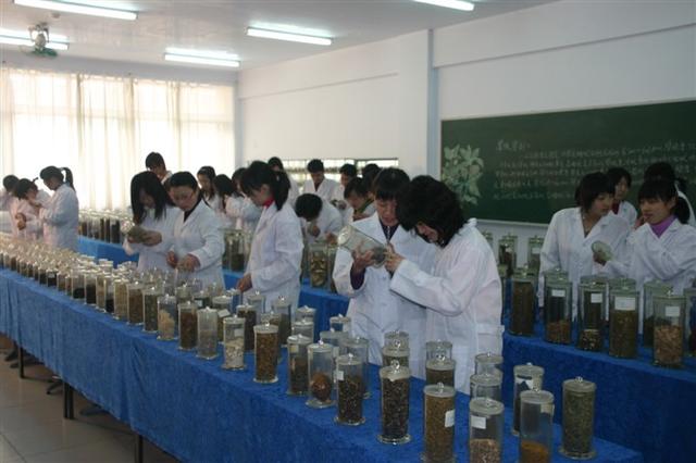 中医专业就业方向及前景,中医培训就业前景