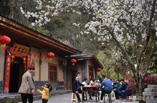 返乡带娃的商机,农村创业赚钱商机