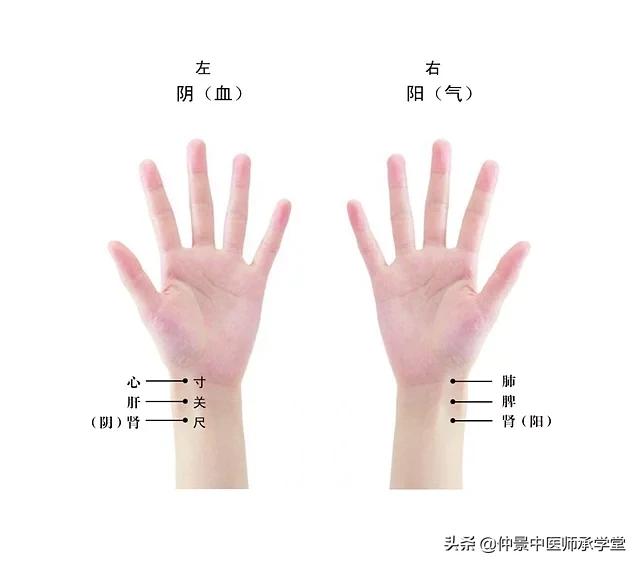 张锡纯脉学，左右脉不同，取舍与开方。