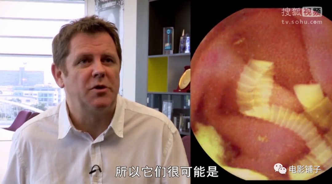 主持人用生命拍片系列，大写的牛掰