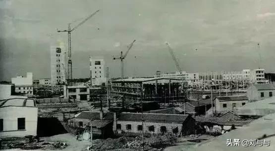 兖州矿务局兴隆庄煤矿,兖州煤业有限公司兴隆庄煤矿