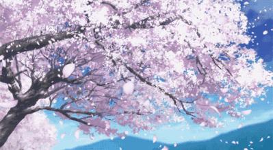 春天来了樱花烂漫图,全国赏樱地图出炉共赴浪漫樱花约