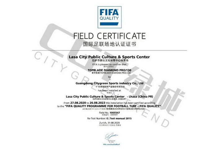 世界上最好的足球场草坪,世界海拔最高的球场