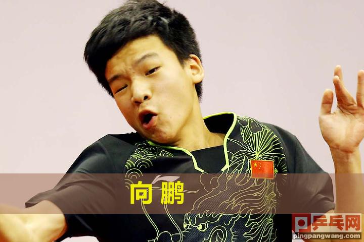 国际乒联世巡赛总决赛国乒揽四冠,国际乒联世界杯男女双打