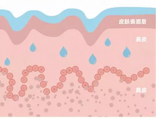 秋冬保湿补水必备,秋冬季节不能少了滋润保湿的步骤