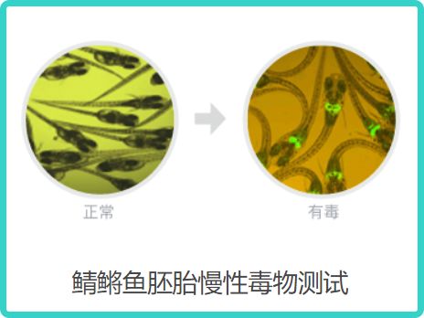 美白精华粉底液,美白养肤粉底液测评