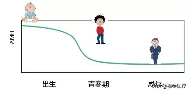 如何通过检查指标判断是否怀过孕,如何确认是否好孕
