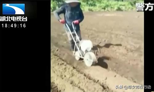 出国“淘金”月入一万六?“打黑工”50天被遣返