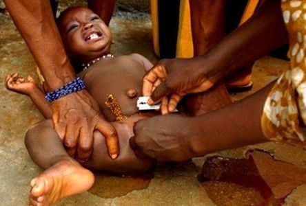 *暴强**、割礼、逼婚的沙漠之花：对女性不公的“割礼”说“不”