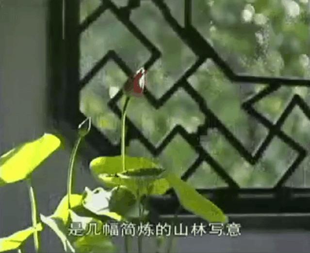 苏州女子人物摄影,苏州漂亮女孩