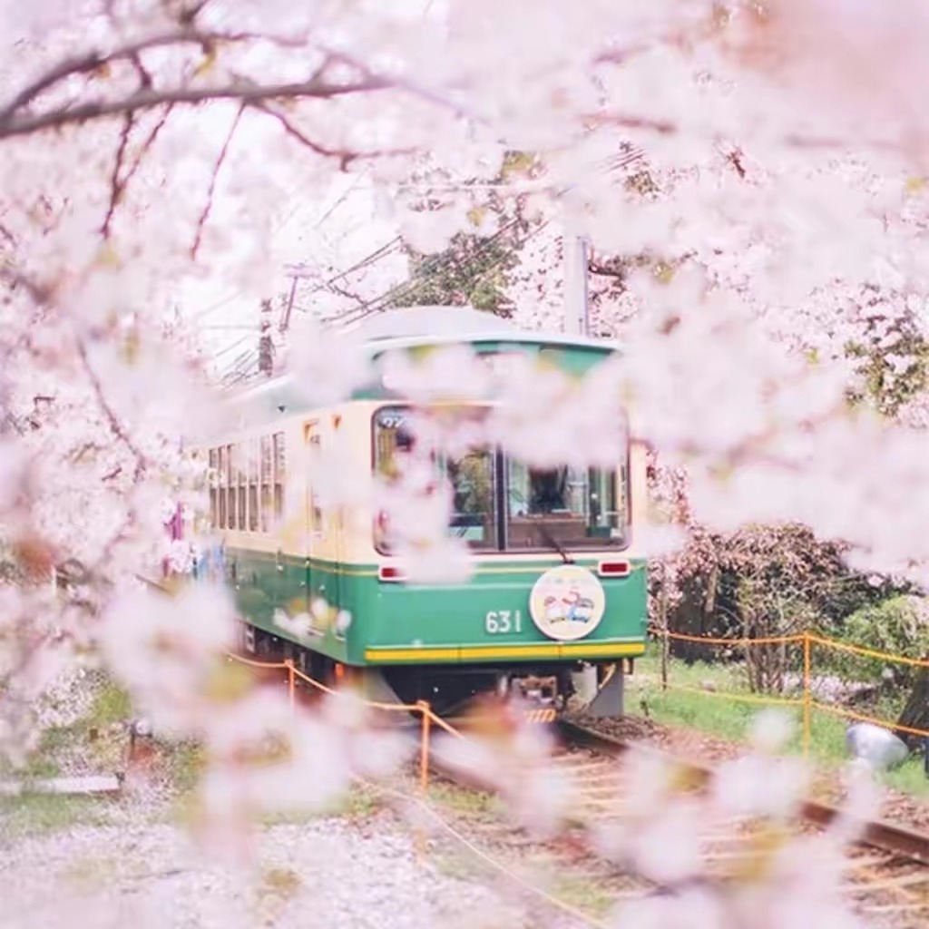 怒放的生命歌曲视频,怒放的生命音乐曲